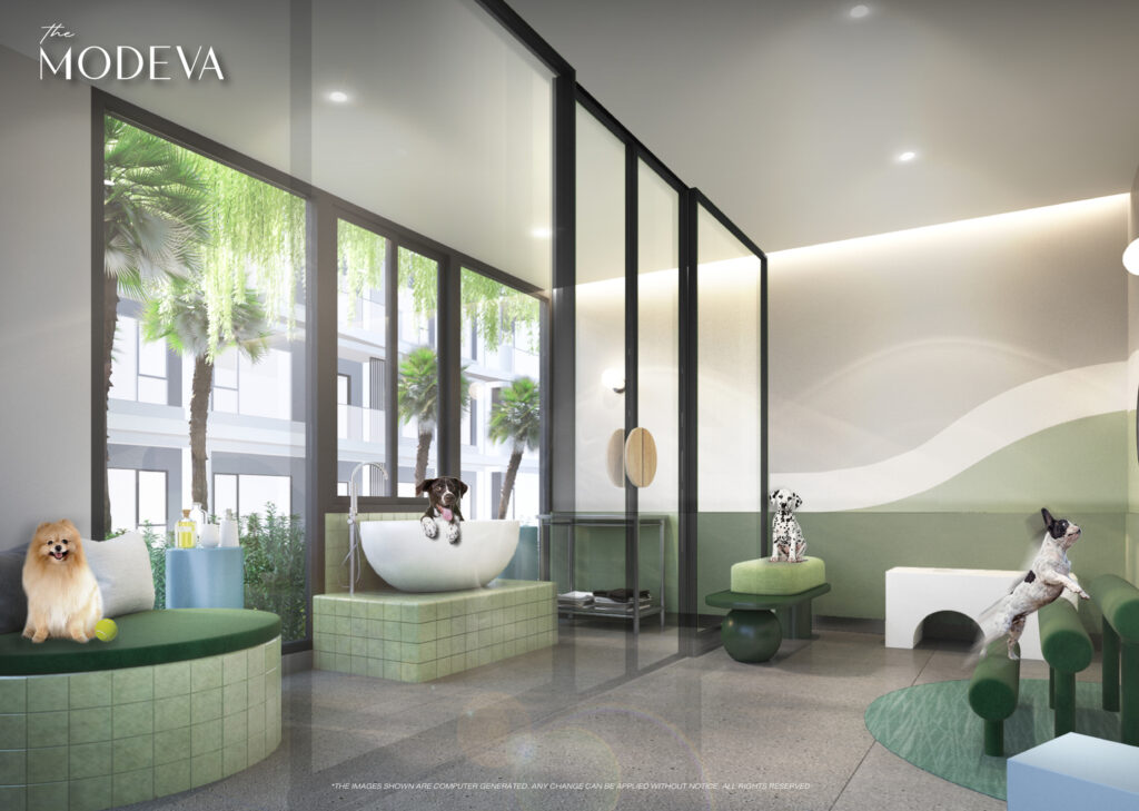 The Modeva Pet Grooming Room
